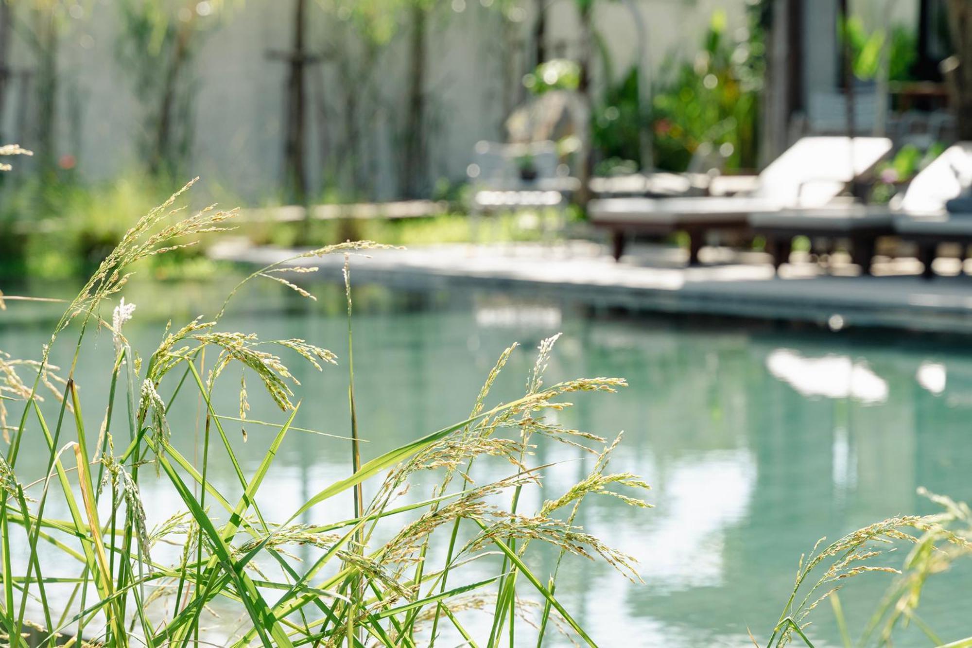 Le Chanthou Boutique Siem Reap Extérieur photo